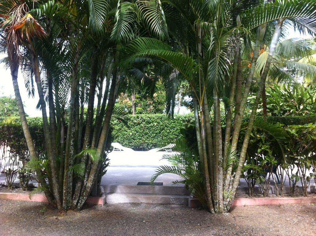 Villas Majolana Playa Herradura  Exterior photo